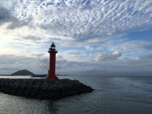 2019年振り返りと2020年意気込み