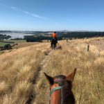 [ニュージーランドを例にした]英語圏での海外移住・永住を実現するために必要なスキルや準備