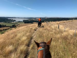 [ニュージーランドを例にした]英語圏での海外移住・永住を実現するために必要なスキルや準備