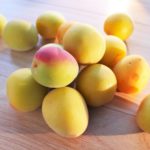 梅酒の失敗しない作り方と完成までの記録