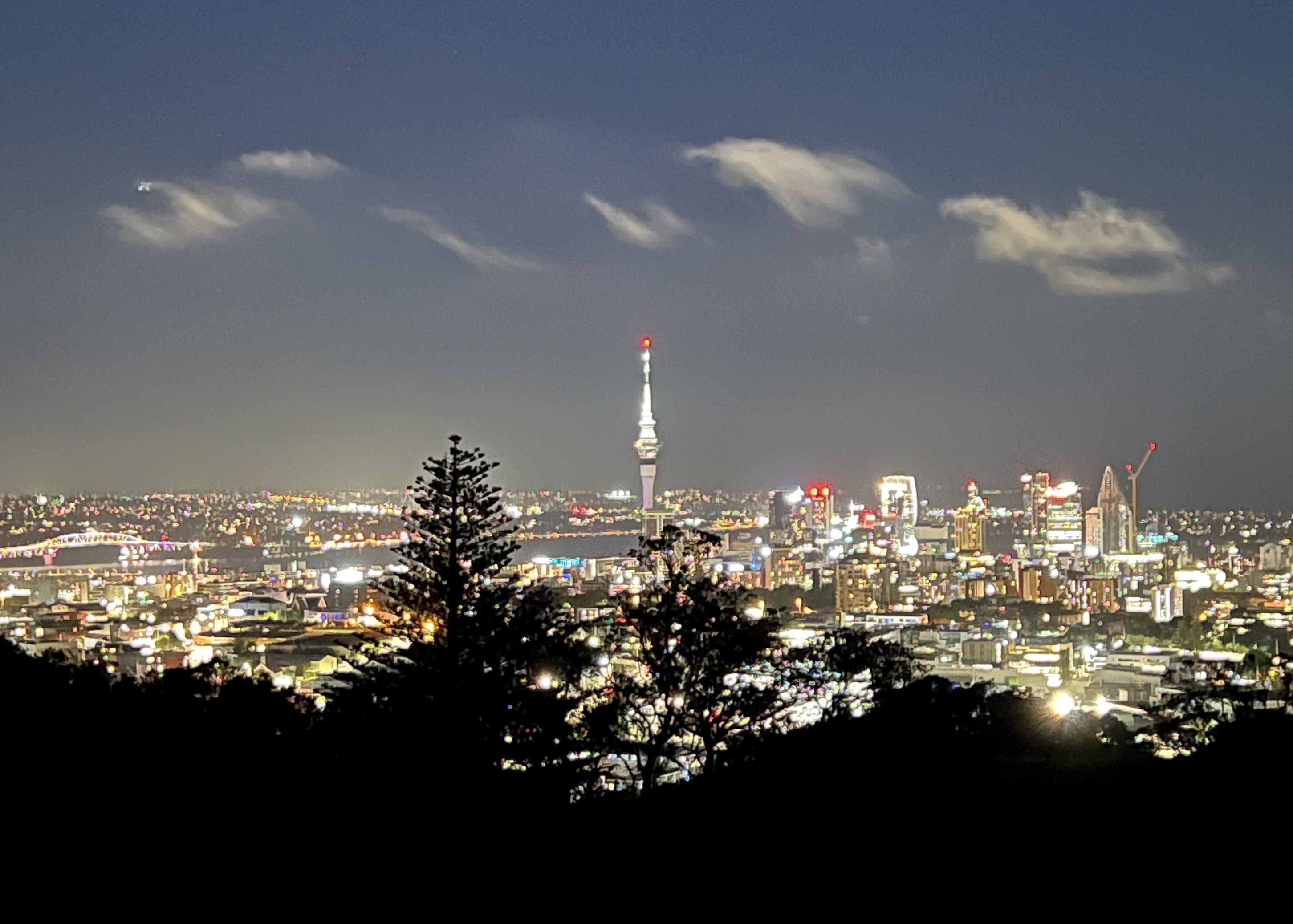 「7年以内に海外移住します」宣言から6年。ニュージーランドの居住権を取得しました。